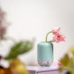 Capsule Vase klar/mint